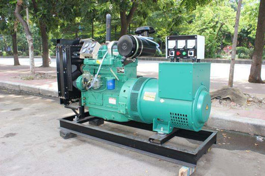 吊罗山乡发电机不发电的原因